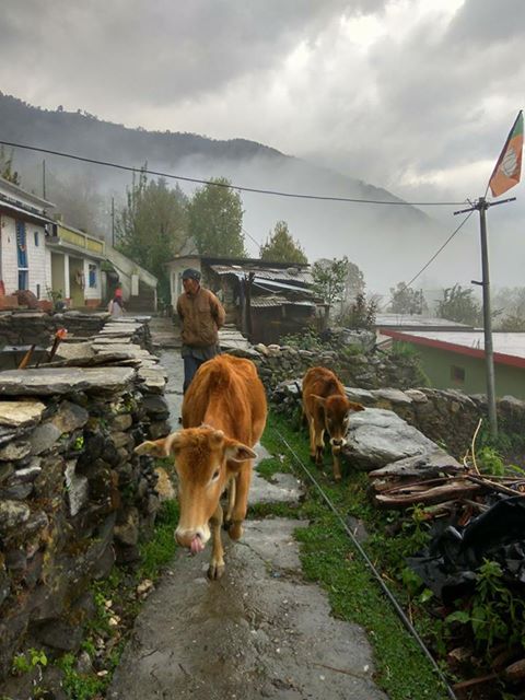 मुन्यसारी में बीती रात बारिश और ओलावृष्टि से दर्दनाक हादसा