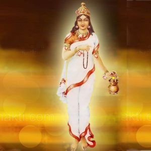 astrology-worship-maa-brahmacharini-on-the-second-day-of-navratri-1-22008-22008-brahmacharini-maa-02