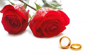 TOP-30-Happy-Rose-Day-Images-Wallpapers10