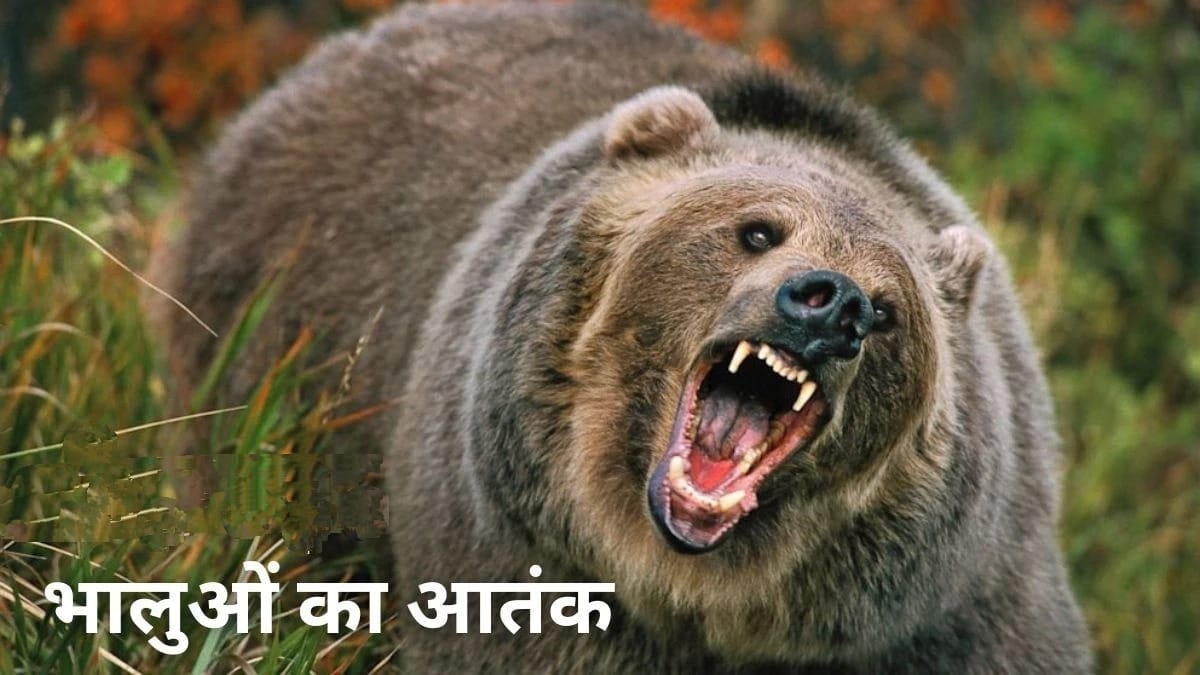 bear attack uttarakhand