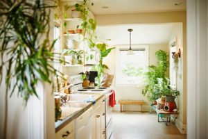 happyhome6