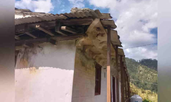 pauri