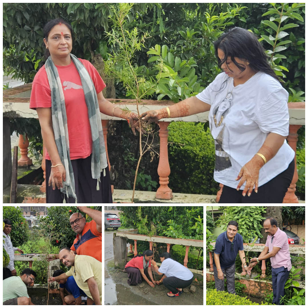 PCRWA planted trees