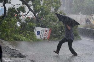 vardah_700x466_41481597722