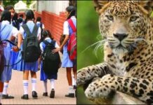 बड़ी खबर : जंगली जानवरों के आतंक के कारण इस जिले में बदला स्कूल टाइम