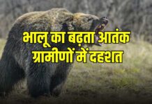 Chamoli : भालू के हमले में महिला गंभीर रूप से घायल, एयर एम्बुलेंस की मदद से हायर सेंटर किया गया रेफर भालू