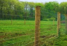 DEHRADUN: किसानों की फसल बचाने को केंद्र से 25 करोड़, घेर-बाड़ योजना को फिर मदद