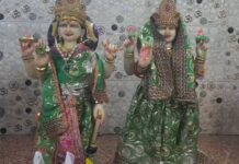 देवशयनी एकादशी आज, चतुर्मास का शुभारंभ, चार माह तक मांगलिक कार्यों पर विराम