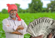 अब किसानों को नहीं करना होगा इंतज़ार! सरकार दे रही है 72 घंटे में फसल का पैसा, जानिए कैसे!