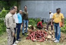 खाद्य सुरक्षा विभाग की बड़ी कार्रवाई: रुड़की में मिलावटी सॉस की फैक्ट्री सील…