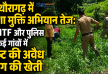 पिथौरागढ़ में नशा मुक्ति अभियान तेज: ANTF और पुलिस ने कई गांवों में नष्ट की अवैध भांग की खेती