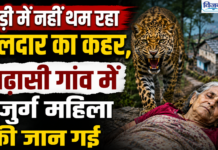 पौड़ी में नहीं थम रहा गुलदार का कहर, बढ़ासी गांव में बुजुर्ग महिला की जान गई