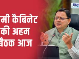 Dhami cabinet