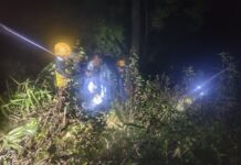 चंपावत: देर रात सुखीढांग क्षेत्र में खाई में गिरा वाहन, एसडीआरएफ ने घायलों को पहुंचाया अस्पताल