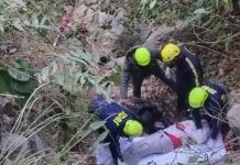 चंपावत में बड़ा हादसा, बारात की गाड़ी खाई में गिरने से 5 की मौत चंपावत हादसा