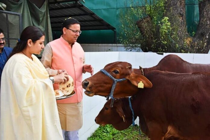 cm dhami