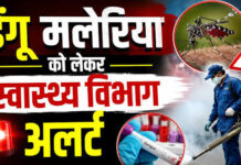 डेंगू और वायरल बुखार को लेकर अस्पताल अलर्ट, मरीजों का उपचार जारी dengue
