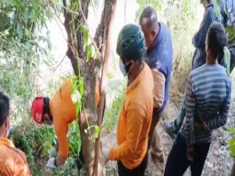 यहां गुलदार ने ग्रामीण को बनाया निवाला, इलाके में दहशत का माहौल guldar rudraprayag