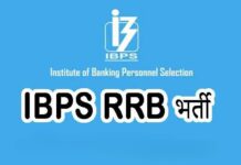 IBPS RRB भर्ती 2025: 13,217 पदों पर भर्ती के लिए ऑनलाइन आवेदन आज से शुरू, जानें जरूरी तारीखें और योग्यता! IBPS RRB