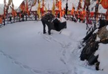 वीडियो: केदारनाथ धाम के कपाट बंद, भुकुंट भैरवनाथ मंदिर में हुई निंदनीय हरकत, वीडियो वायरल…