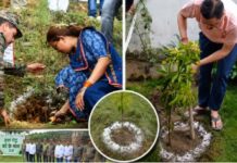 हरेला पर्व पर सीएम धामी ने किया वृक्षारोपण, मंत्री रेखा आर्या ने पिथौरागढ़ में लगाया पौधा