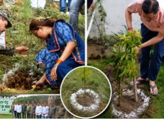 हरेला पर्व पर सीएम धामी ने किया वृक्षारोपण, मंत्री रेखा आर्या ने पिथौरागढ़ में लगाया पौधा