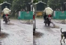 Animal Cruelty- कुत्ते ने भौंका तो भड़क उठा शख्स : बाइक के पीछे बांधकर बेरहमी से घसीटा l krurta