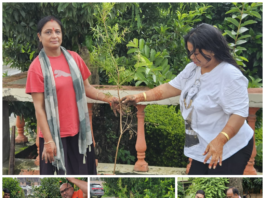 PCRWA planted trees