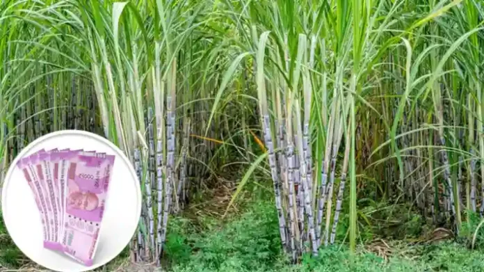 गन्ना मूल्य