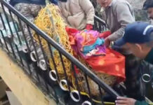 उत्तराखंड में यहां रात के एक बजे घर में घुसा तेंदुआ, लोगों में मची चीख-पुकार घर में घुसा तेंदुआ