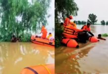 पंजाब में बाढ़ का कहर: आठ जिले जलमग्न, रावी के उफान से कई इलाकों में हालात गंभीर