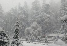 बर्फबारी के बाद एक बार फिर अपने पूरे शबाब पर मसूरी, पर्यटकों में गजब का उत्साह