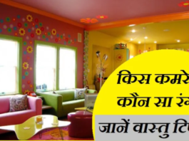 वास्तु टिप्स कलर