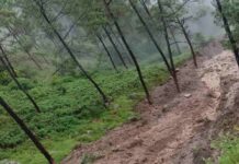 चमोली में कुदरत का कहर जारी, सगवाड़ा में एक और घर तबाह l