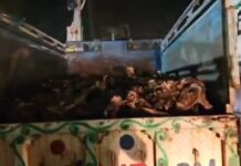 सेलाकुई में हड्डियों से भरा लोडर मिलने पर बवाल, वाहन में लगाई आग; पुलिस ने बचाई तीन की जान l